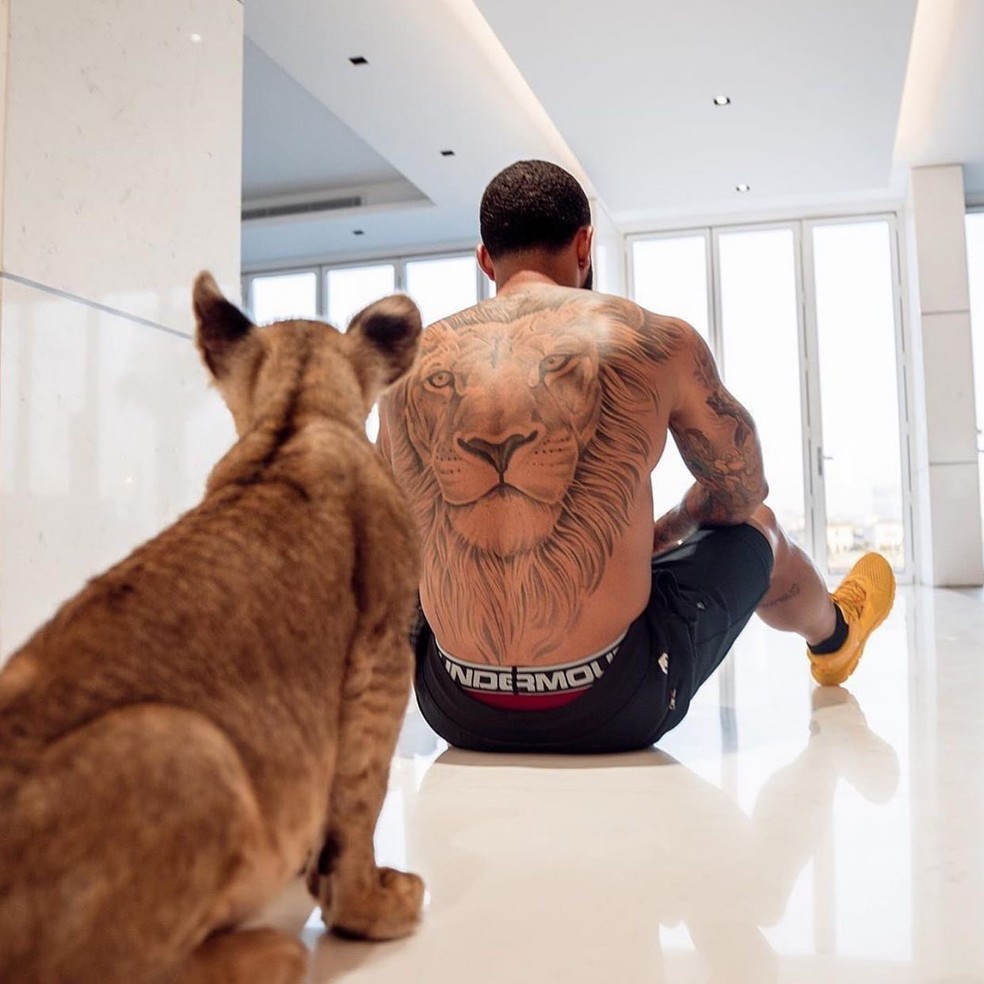 Memphis Depay posou para fotos com um ligre, em 2020 — Foto: Reprodução