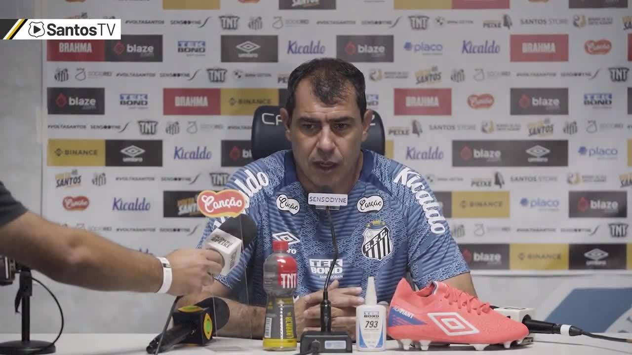 Confira a entrevista coletiva de Fábio Carille após Avaí x Santos