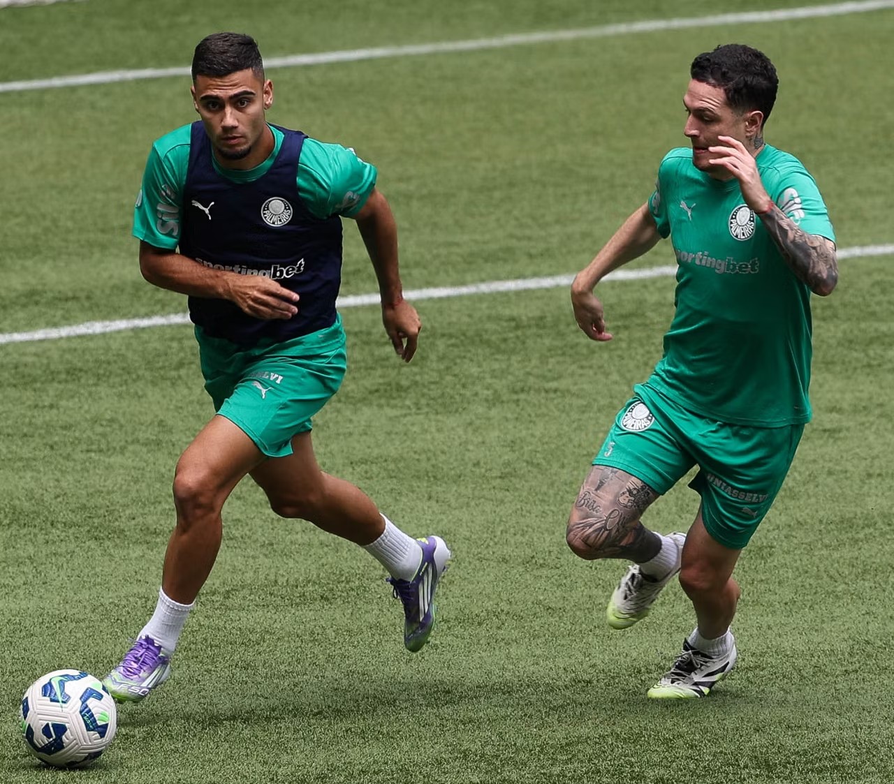 Palmeiras busca confirmar excelente desempenho antes de duelo decisivo na Libertadores
