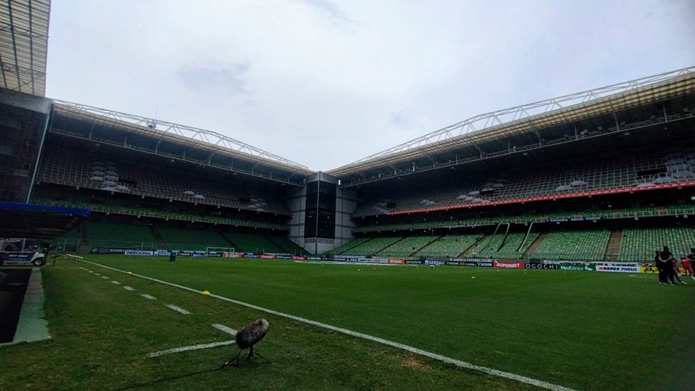 Independência recebe Athletic x CRB pela Série B do Brasileiro  — Foto: Giovana Pires