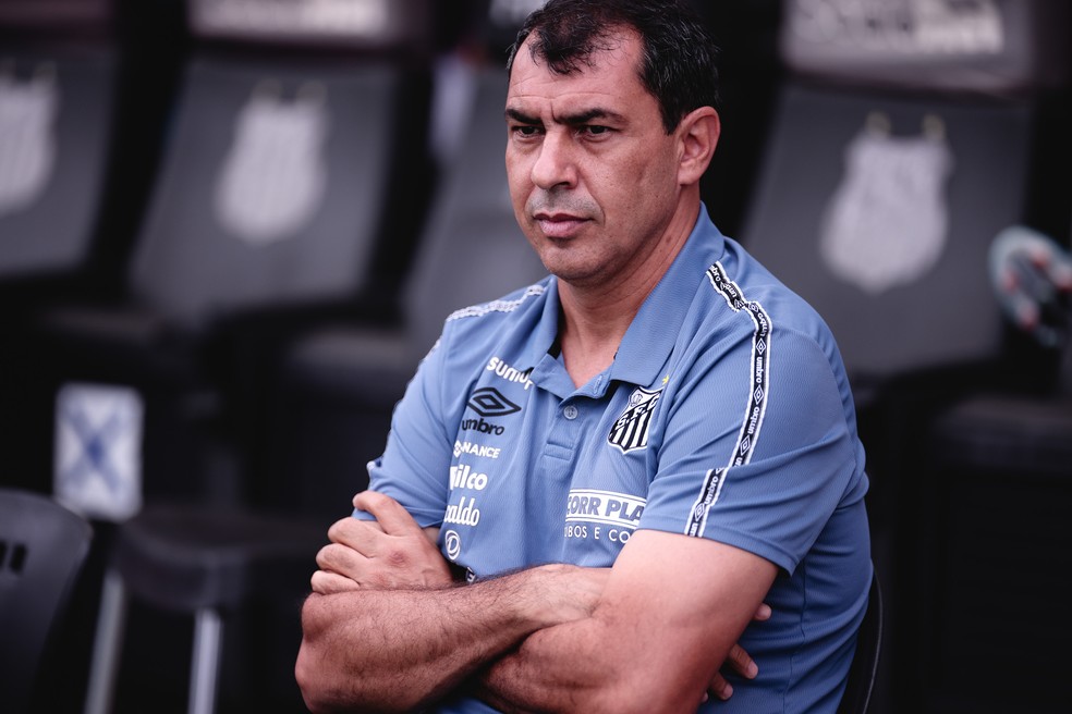 Fabio Carille na primeira passagem pelo Santos — Foto: Ettore Chiereguini/AGIF