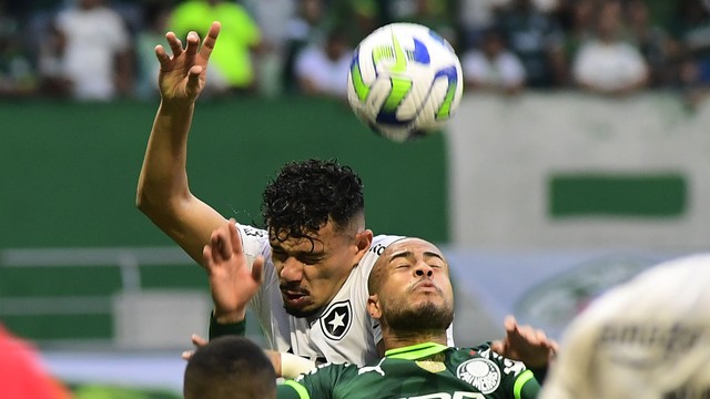 Palmeiras x Botafogo