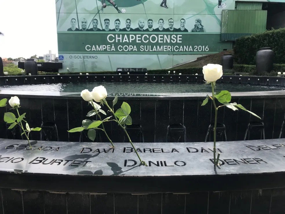 Rosas Brancas são colocadas em nome das vítimas do acidente aéreo — Foto: Arquivo/ge.globo