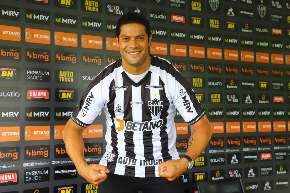 O Santo e o Querido: conheça os finalistas da Libertadores de 2014