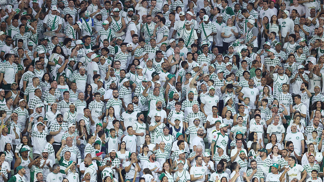 Torcida do Palmeiras no clássico contra o Santos