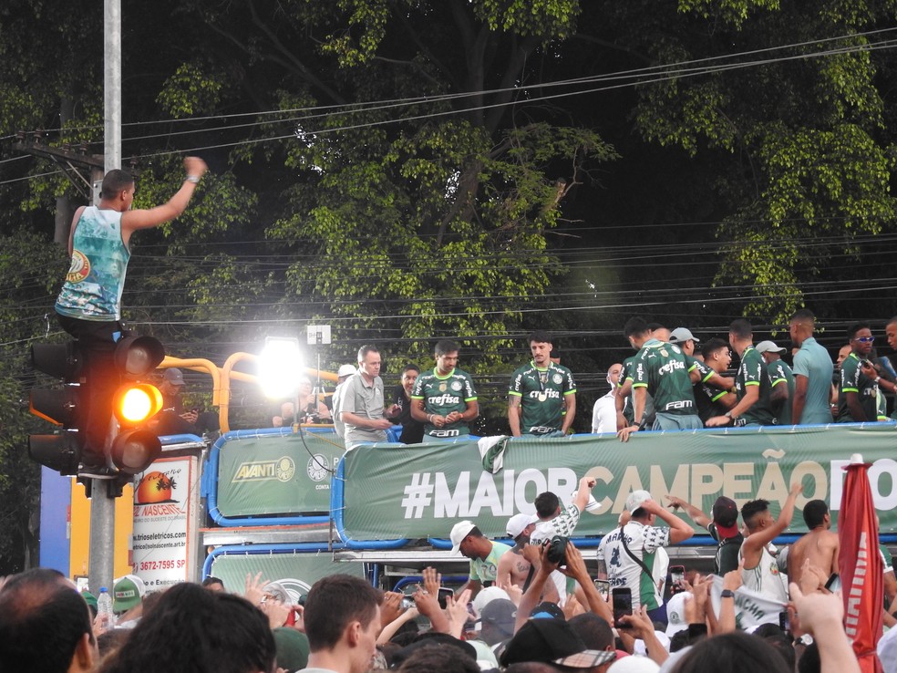 Torcedor do Palmeiras sobe em poste para comemorar título — Foto: Eduardo Rodrigues