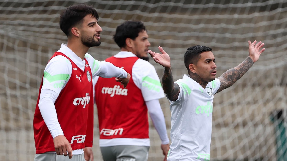 Colombiano Angulo, de 19 anos, chega para treinar no Palmeiras