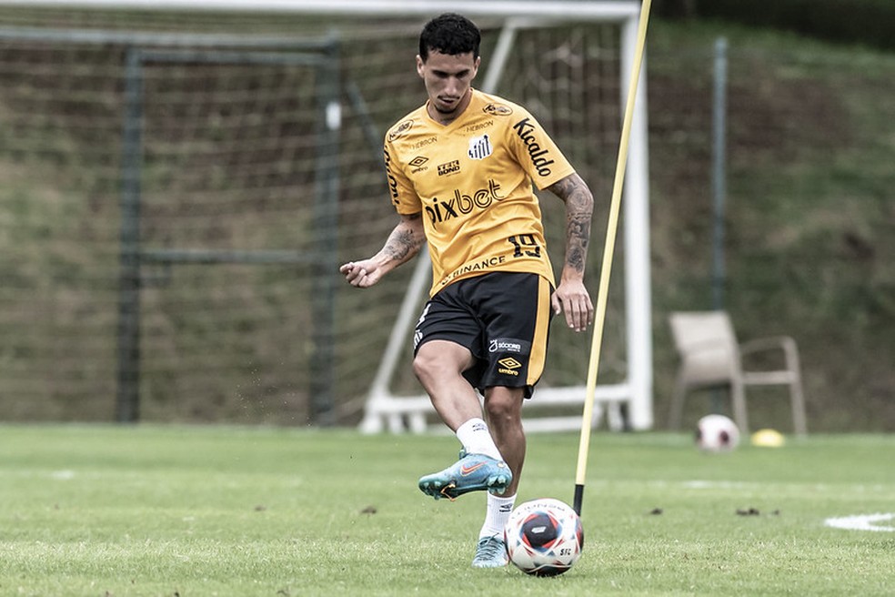 Técnico do São Bernardo se anima com jogo contra o Palmeiras