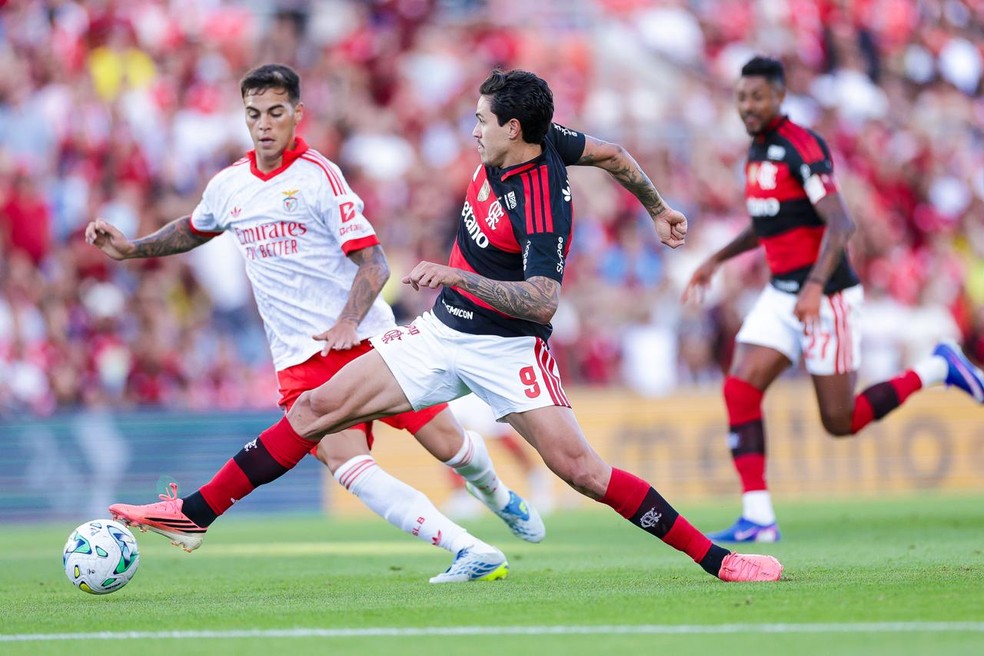 Pedro em Benfica x Flamengo � Foto: Gilvan de Souza/Flamengo