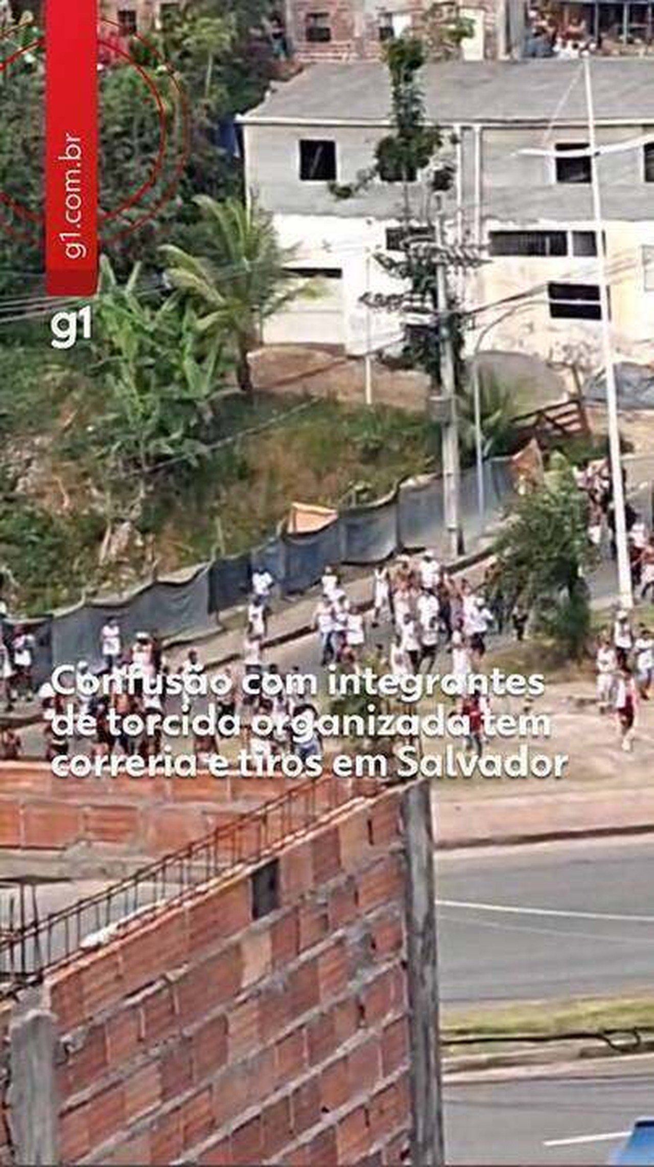 Polícia confirma uma morte e seis prisões ligadas a violência de organizadas no dia do Ba-Vi 508