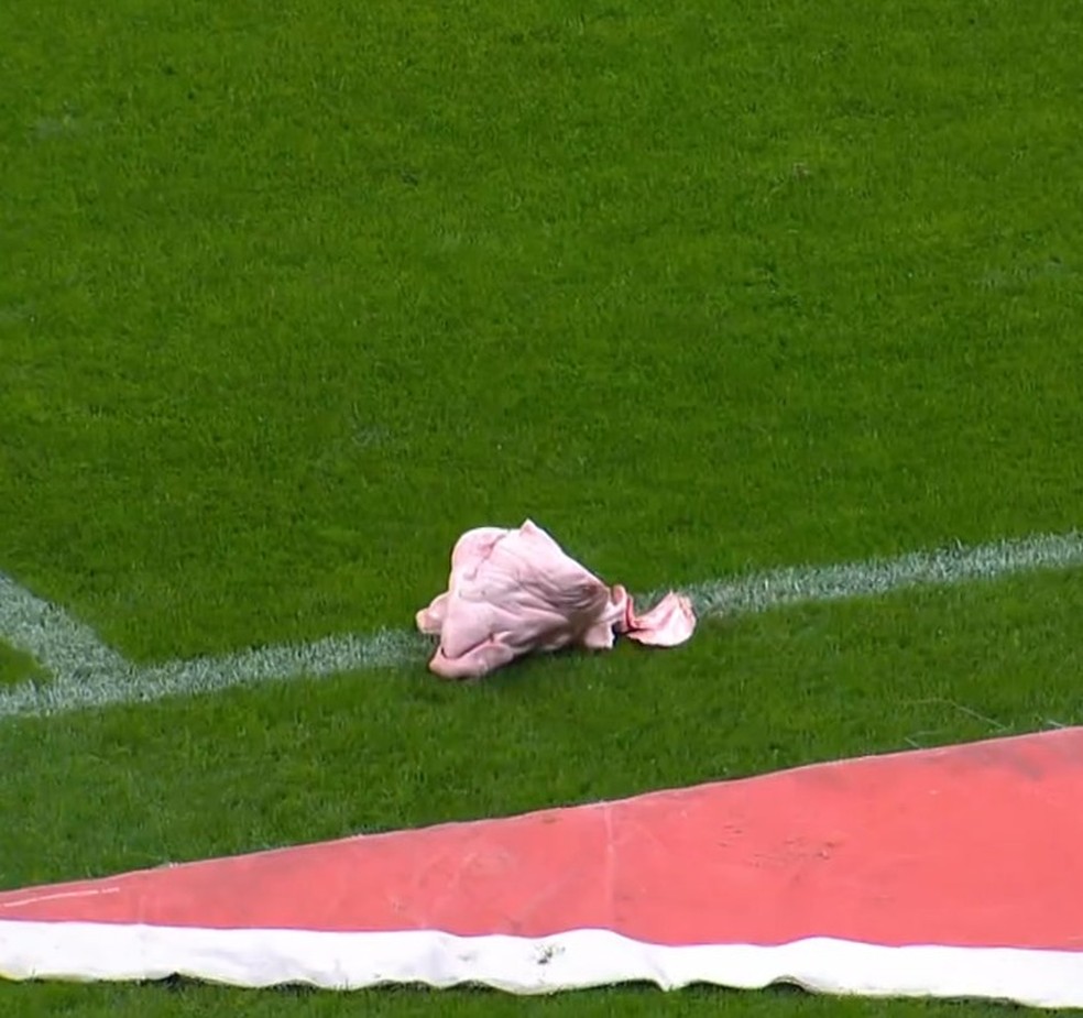 Cabeça de porco jogada no gramado do estádio do Corinthians — Foto: Reprodução