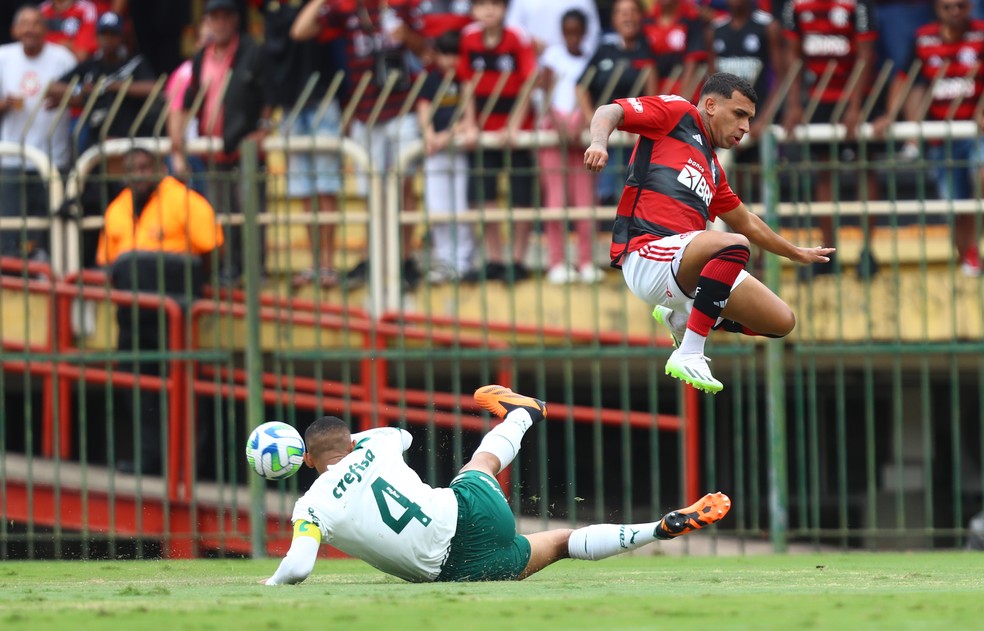 Petterson e Michel dividem bola em final do Brasileiro Sub-20 entre Flamengo e Palmeiras — Foto: Gilvan de Souza/Flamengo