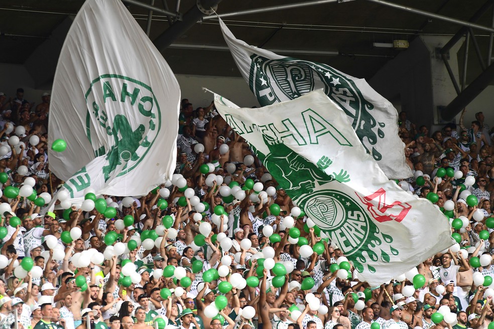 Torcida do Palmeiras na Supercopa em Belo Horizonte — Foto: Marcos Ribolli