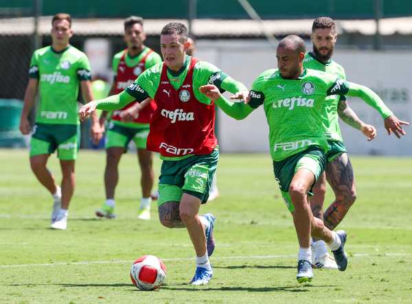 Palmeiras aprimora marcação visando escalação ideal nas quartas de final do Paulista.