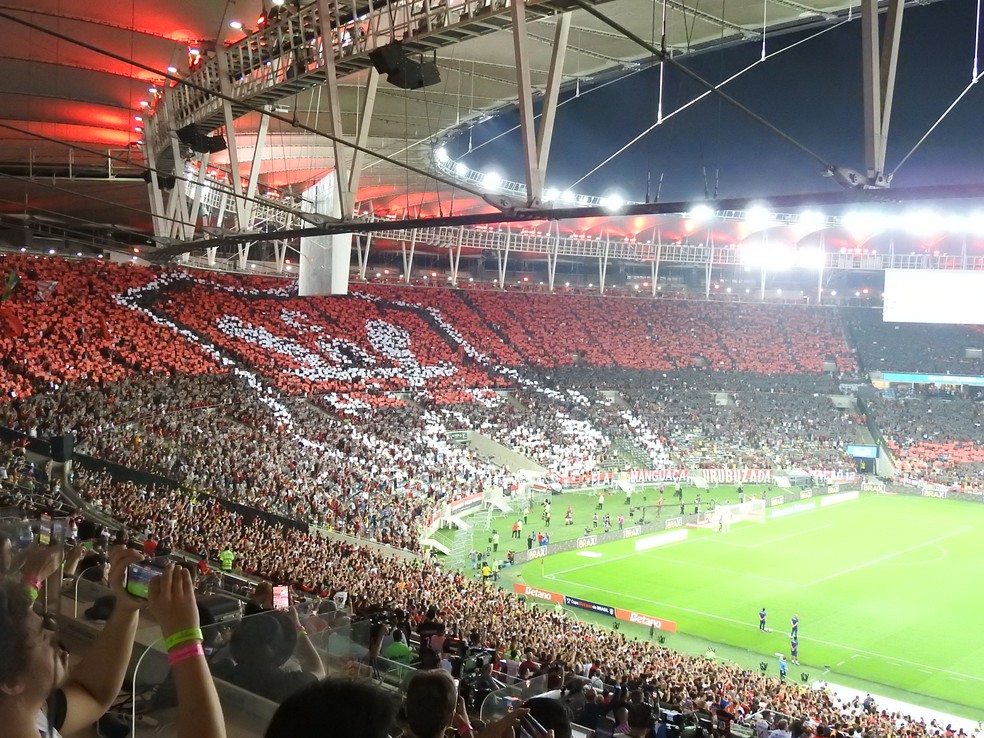 Escudo do remo do Flamengo é exibido no setor norte — Foto: Fred Gomes