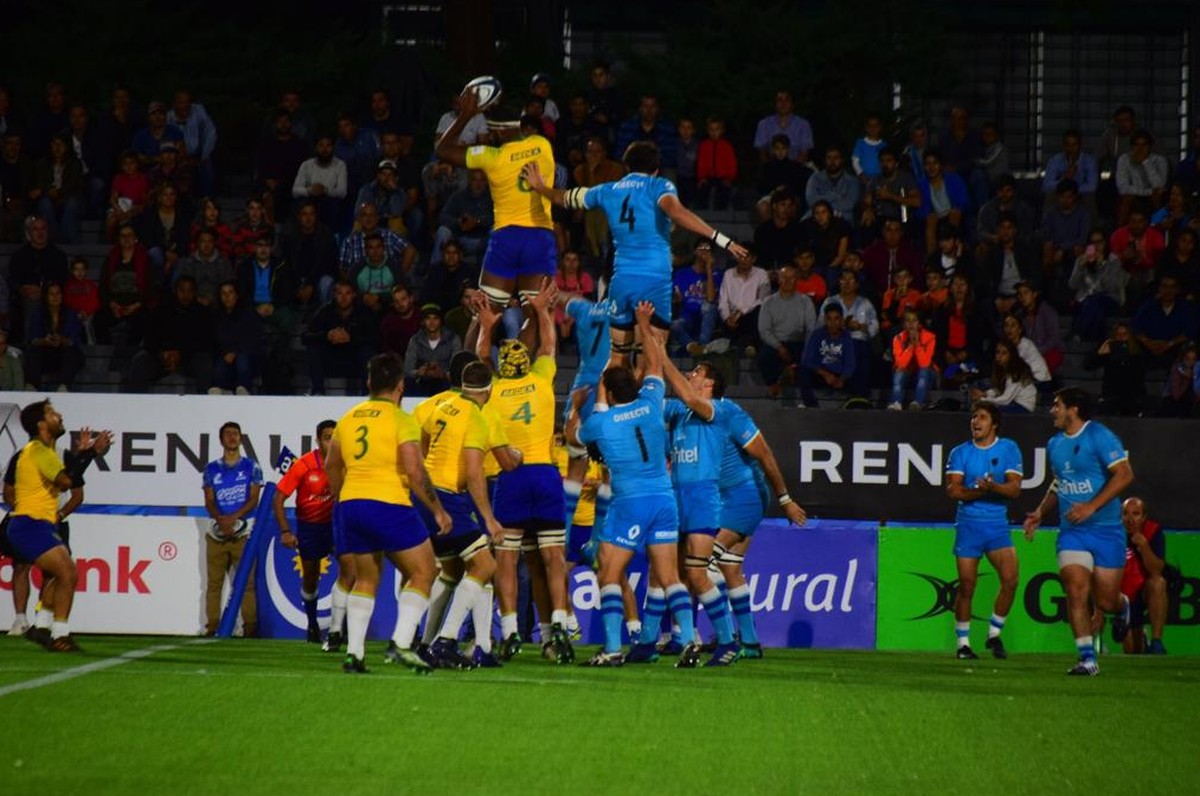 Touro invade campo durante partida de rugby na França; veja