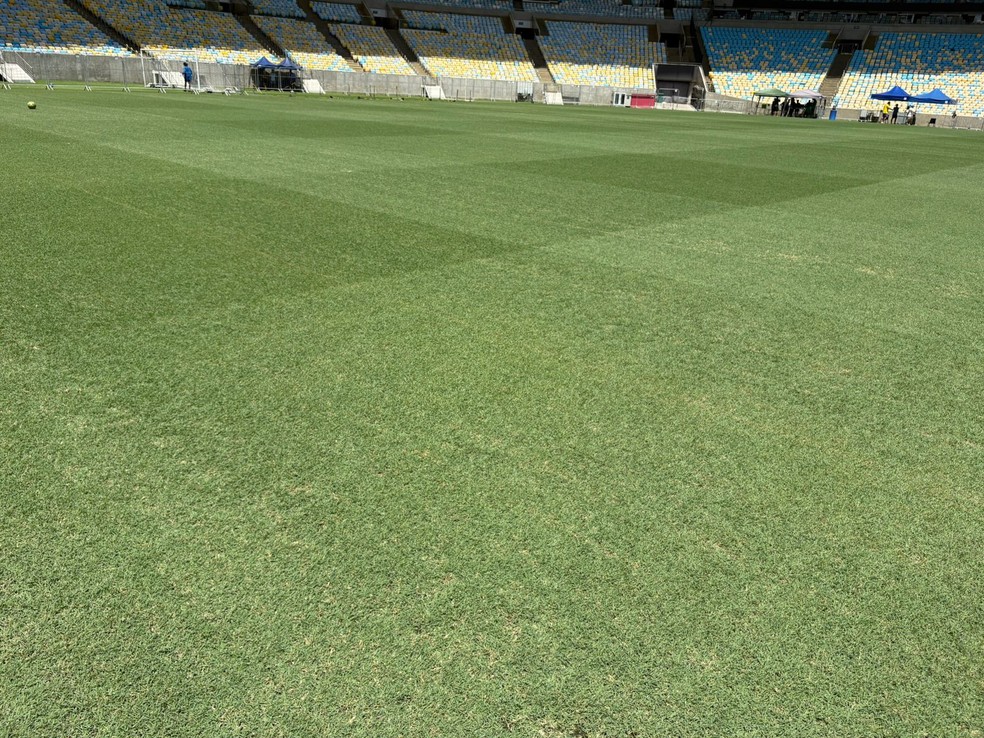 Fase 3 da manutenção do gramado do Maracanã — Foto: Reprodução