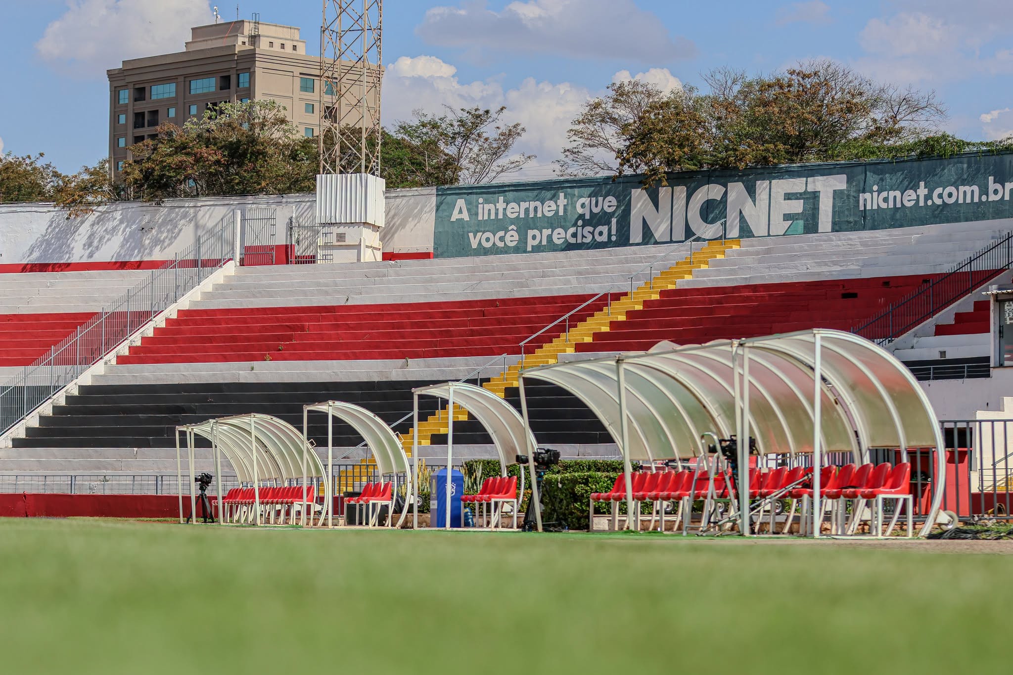 Botafogo-SP x Novorizontino: onde assistir ao vivo, horário e escalações