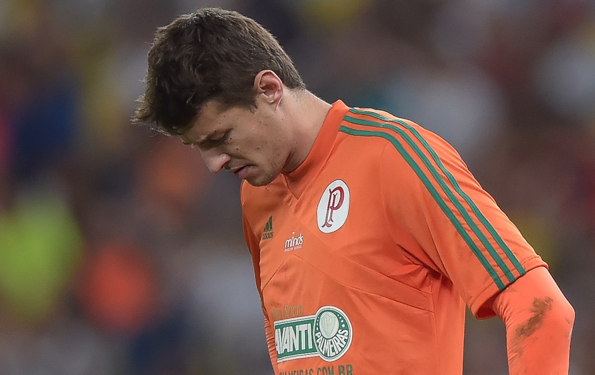 Goleiro Fábio, ex-Palmeiras, vai jogar Série A3 de SP pelo Sertãozinho