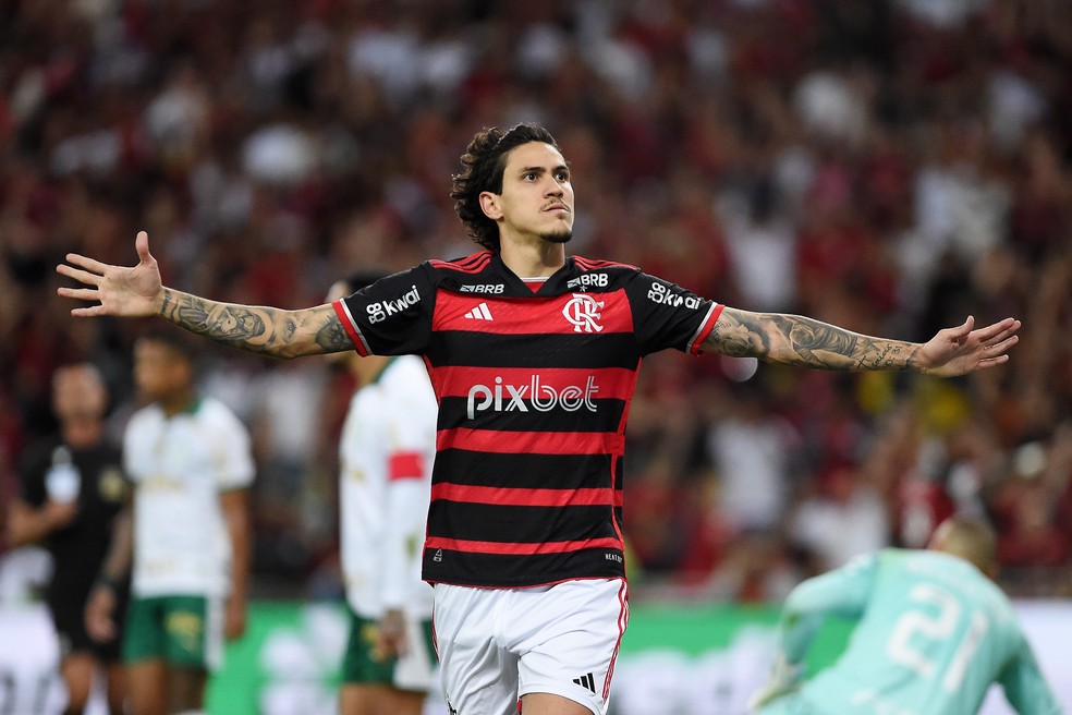 Pedro é o artilheiro do Flamengo na era Tite