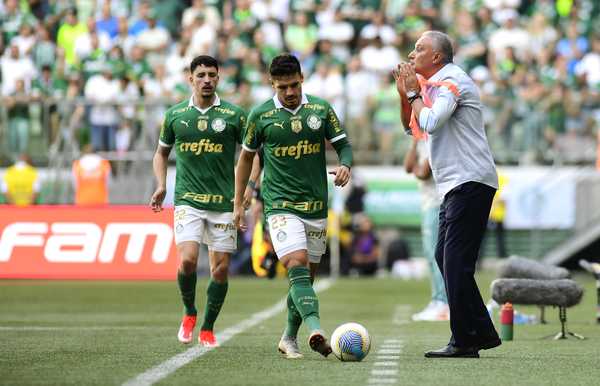 Real Arenas dice que rescindió el contrato del aficionado que escupió a Tite en el partido Palmeiras vs Flamengo |  palmeras