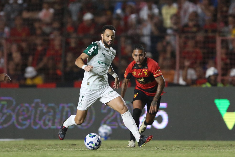 Sport x Palmeiras — Foto: Marlon Costa/AGIF
