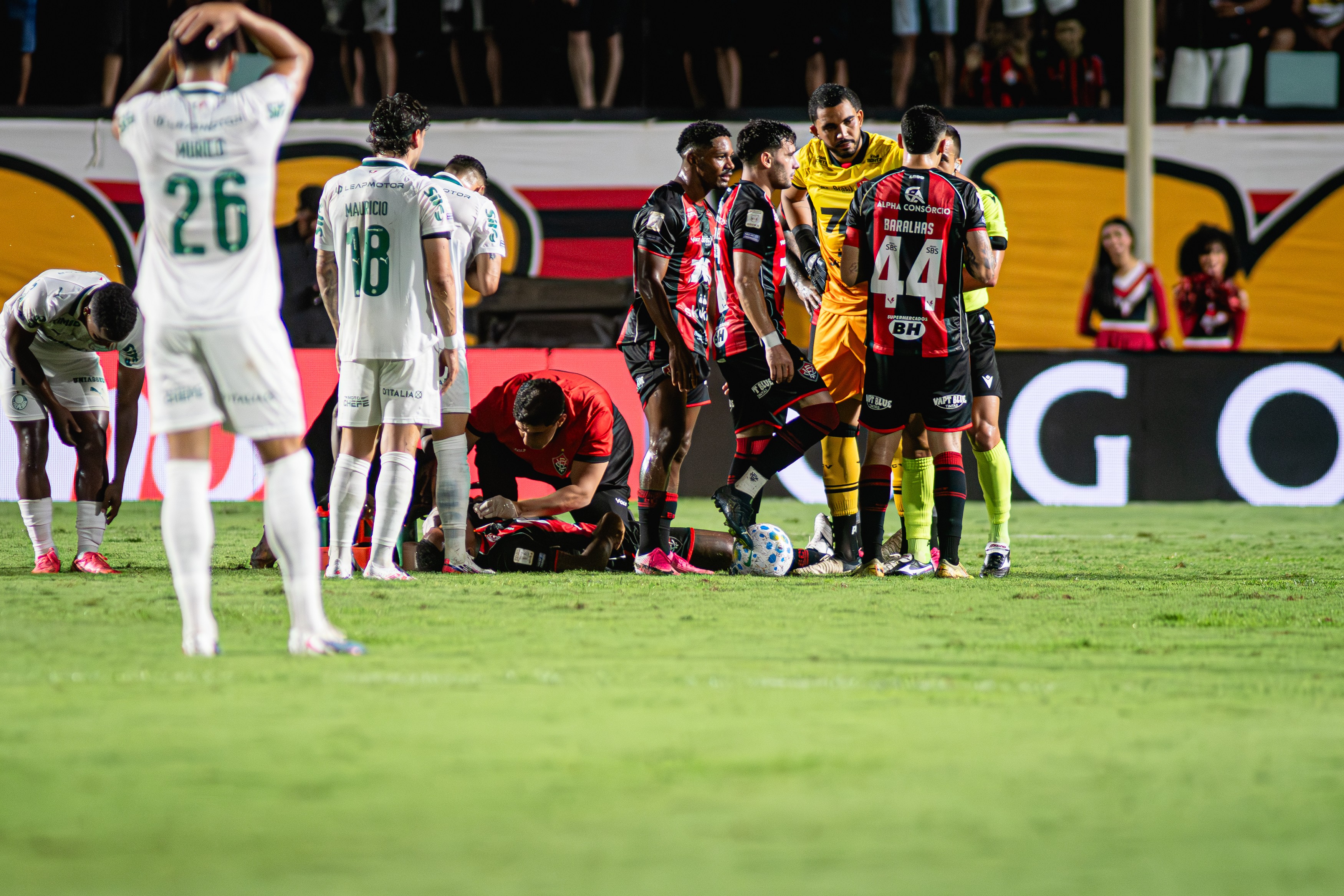 imagem