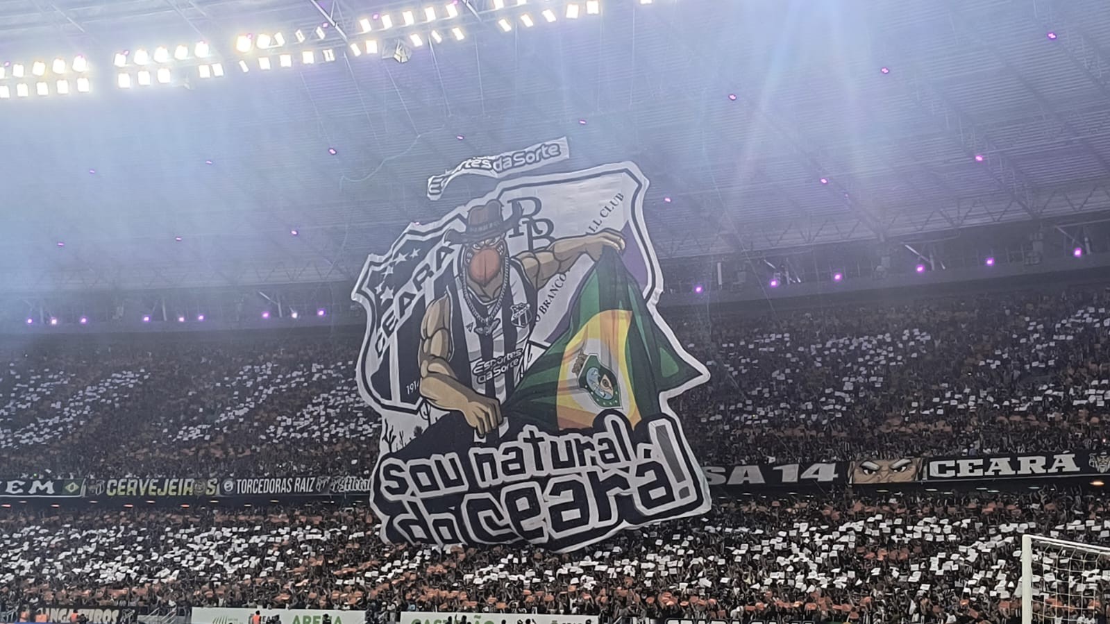 Ceará x Cruzeiro: análise e previsões para o Brasileirão 2021