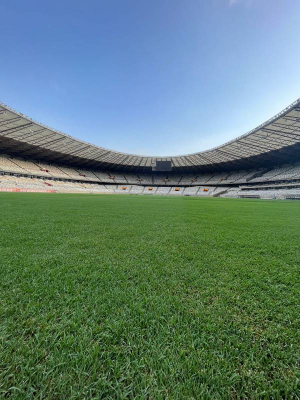 Cruzeiro volta ao Mineirão após quase um mês; veja imagens do gramado