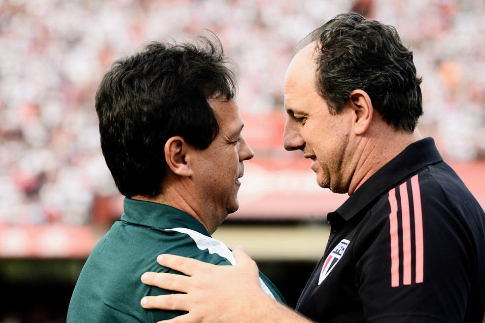 Fernando Diniz e Rogério Ceni se cumprimentam em São Paulo x Fluminense — Foto: Marcos Ribolli / ge