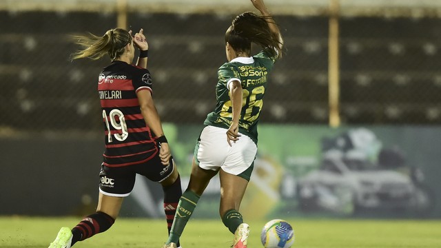 Palmeiras x Flamengo, Brasileiro Feminino