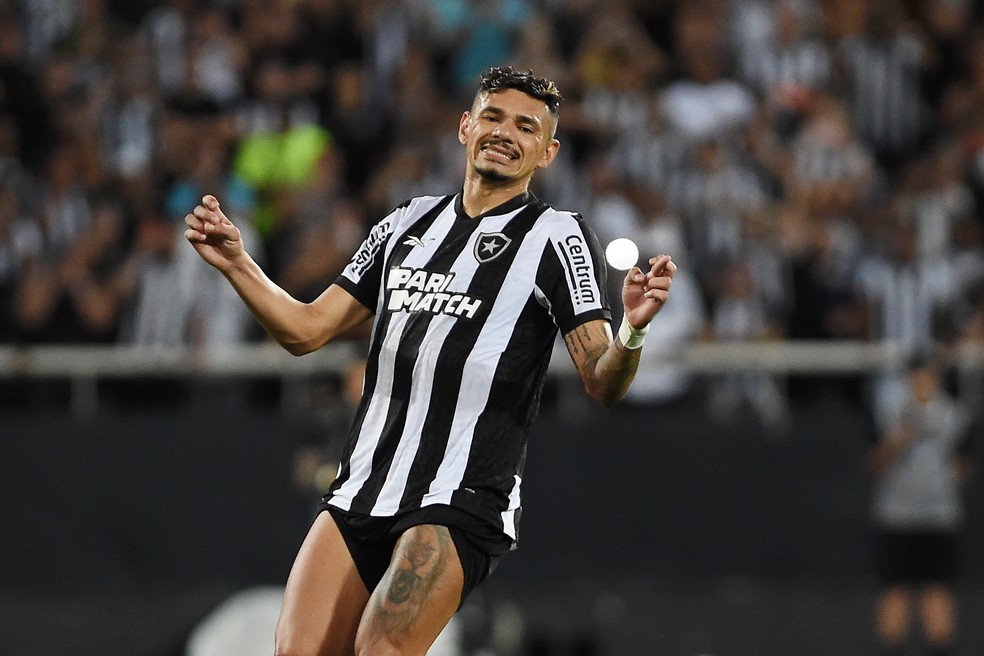 Tiquinho em Botafogo x Palmeiras — Foto: André Durão/ge