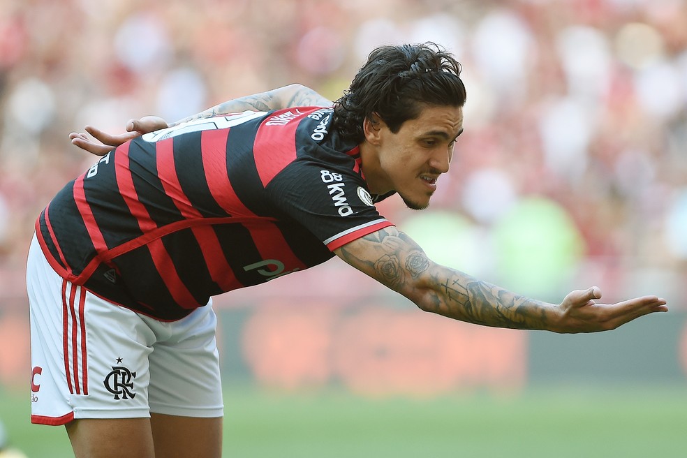Pedro comemora um gol pelo Flamengo  Foto: Alexandre Duro
