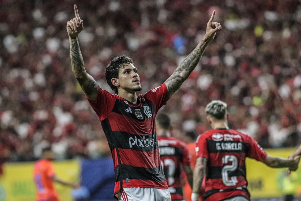 Pedro comemora gol do Flamengo contra o Audax — Foto: João Normando