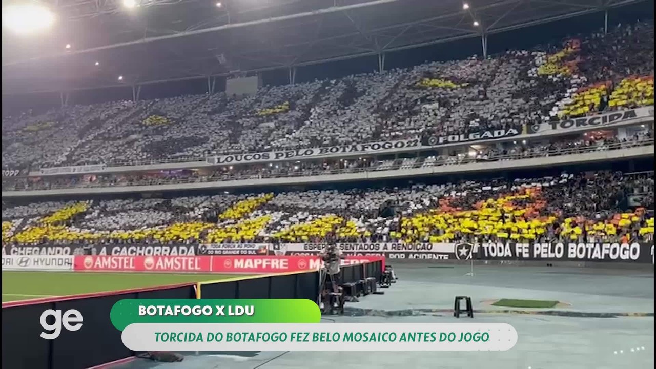 Botafogo x LDU direto do gramado: como foi a vitória alvinegra por outro ângulo