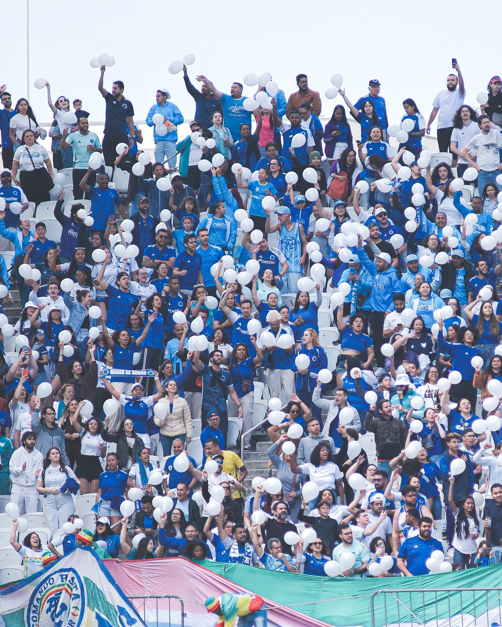Torcida do Cruzeiro compareceu na decisão na Neo Química — Foto: Gustavo Martins/Cruzeiro