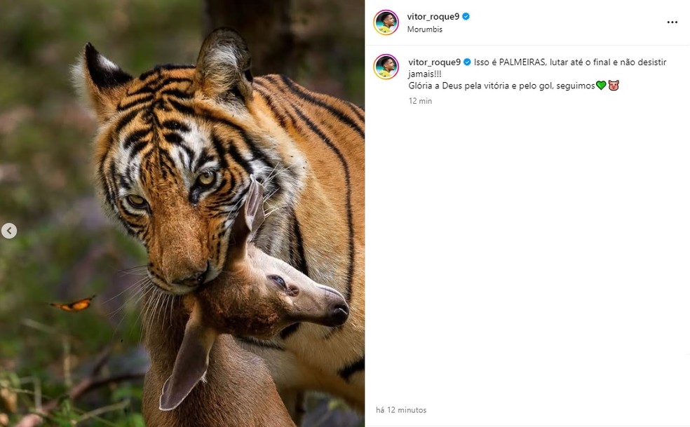Vitor Roque fez post homofóbico em provocação ao São Paulo e apagou foto — Foto: Reprodução