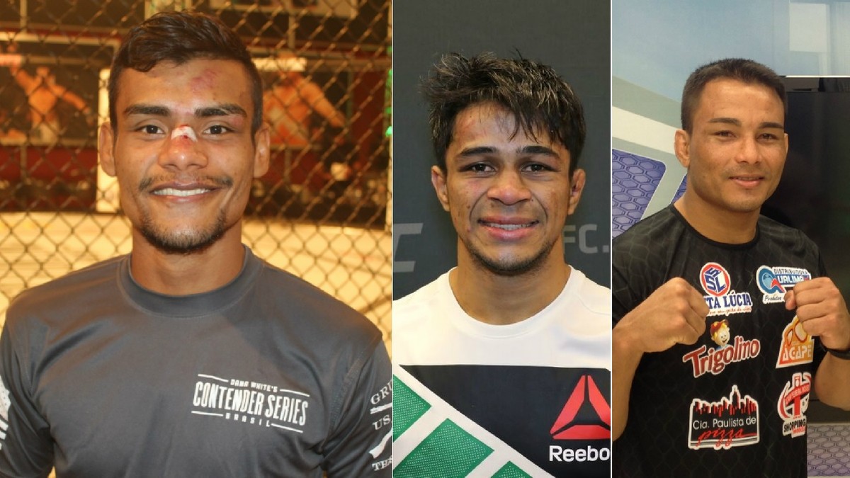 ハウリアン・パイバ