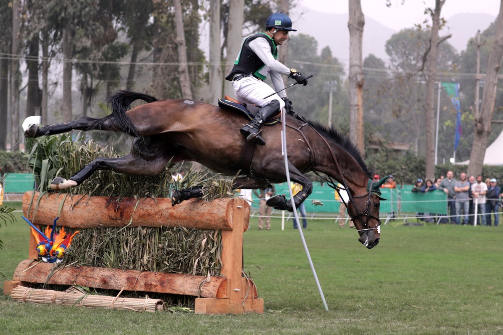 Foto de Cavalo Pulando Obstáculos e mais fotos de stock de