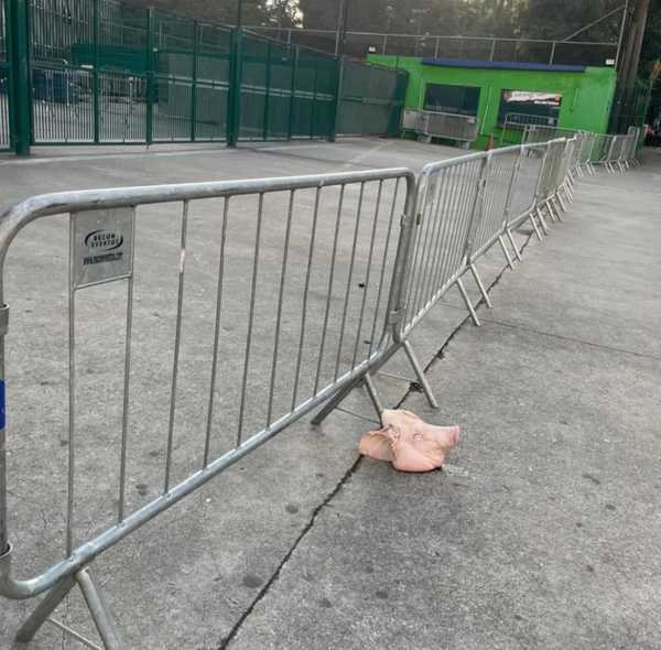 Cabeça de Porco Deixada em Acesso a Estádio Antes de Dérbi Palmeiras-Corinthians.