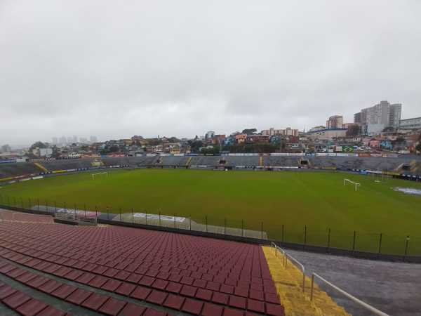 Transmissão ao vivo de Grêmio x Palmeiras: horário, escalações e onde assistir.