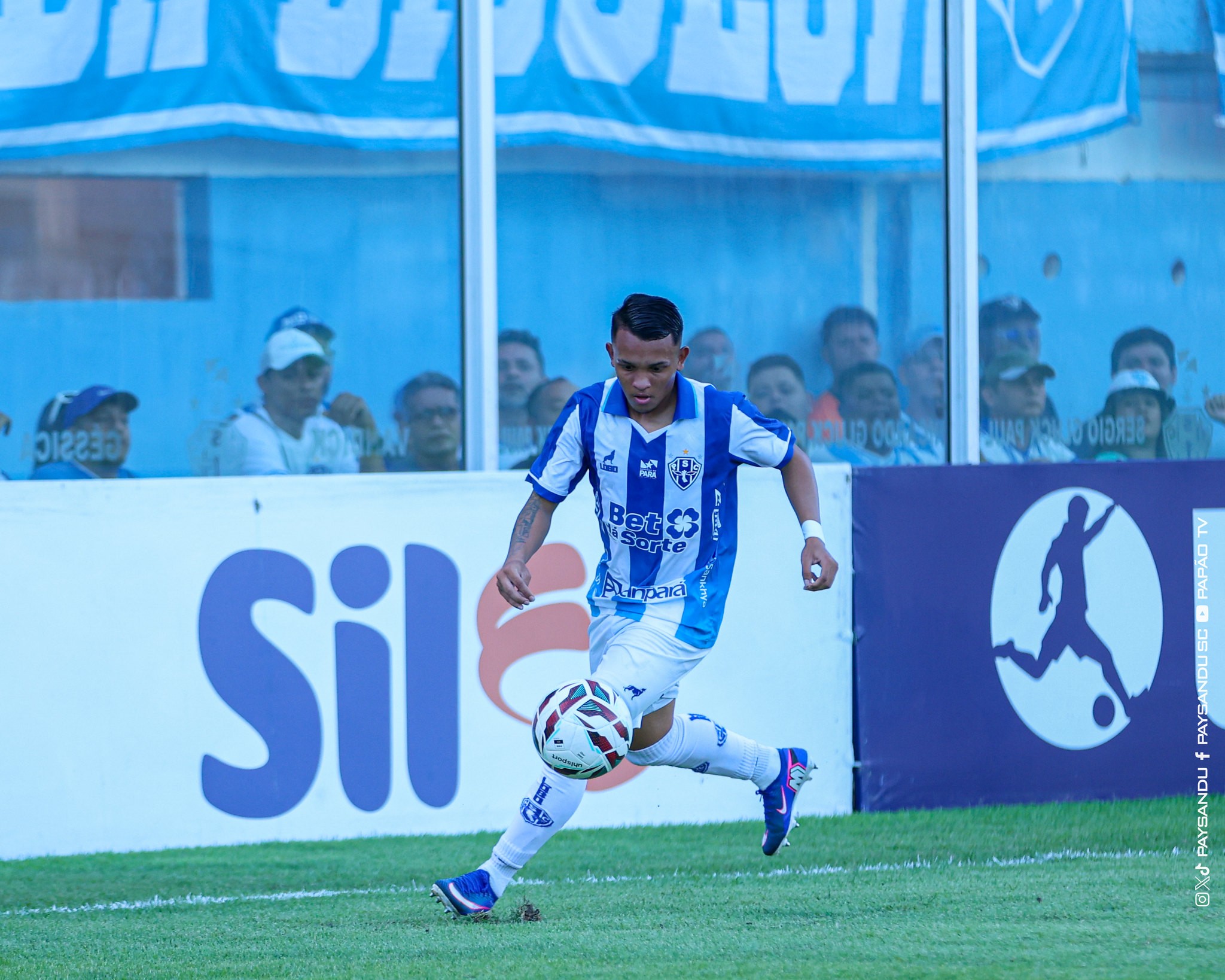imagem