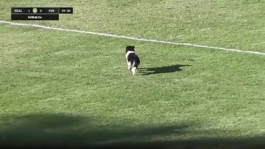 Rodada #12 da Série D: frango bizarro, cachorro em campo, 1.176 minutos sem sofrer gol e narrador indo ao delírio - Programa: Globo Esporte TO 