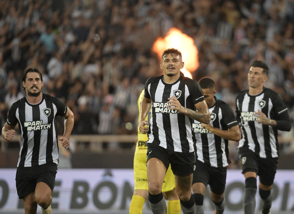 Botafogo x Corinthians Brasileirão Série A — Foto: André Durão