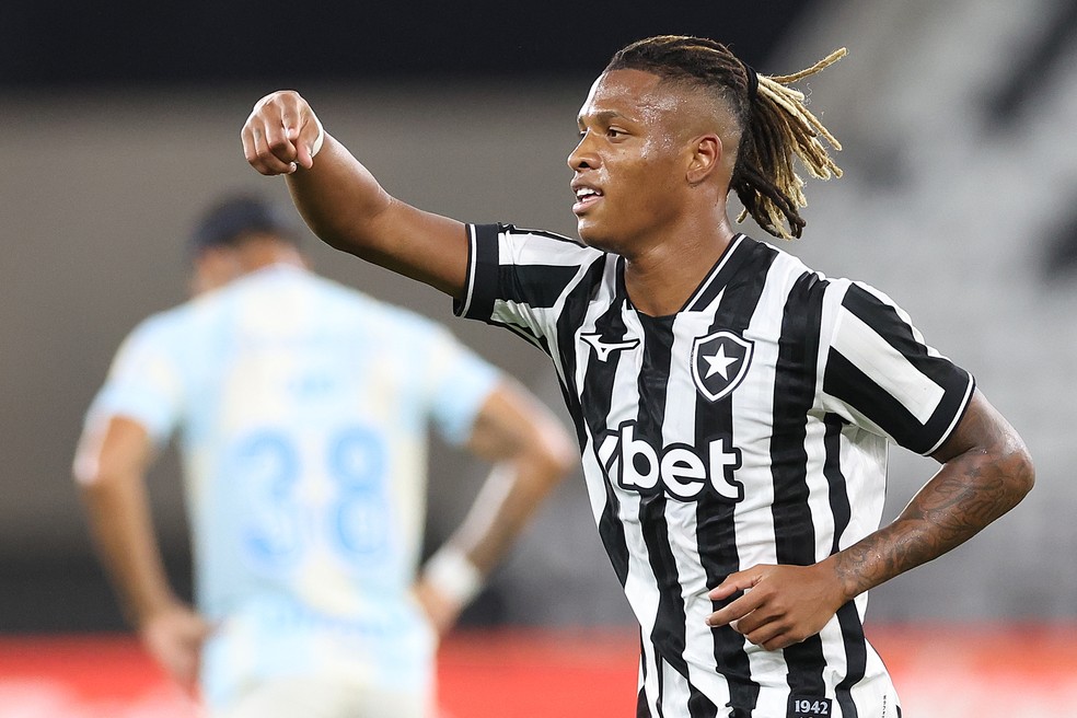Danilo marca lindo gol para o Botafogo contra o Grêmio — Foto: Vitor Silva/Botafogo