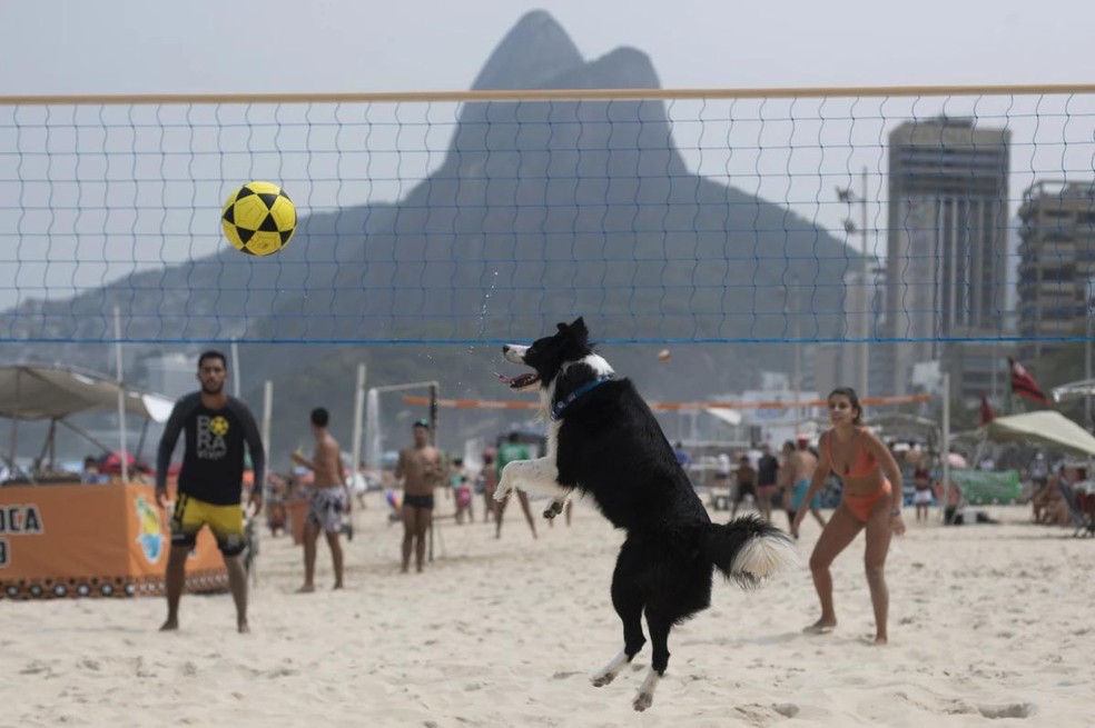 Floki jogando em praia do Rio de Janeiro � Foto: Acervo pessoal / Gustavo Rodrigues