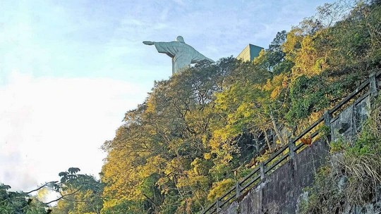 Meia Maratona do Cristo visita cartões postais do Riojogos online gratis paciencia spiderJaneiro