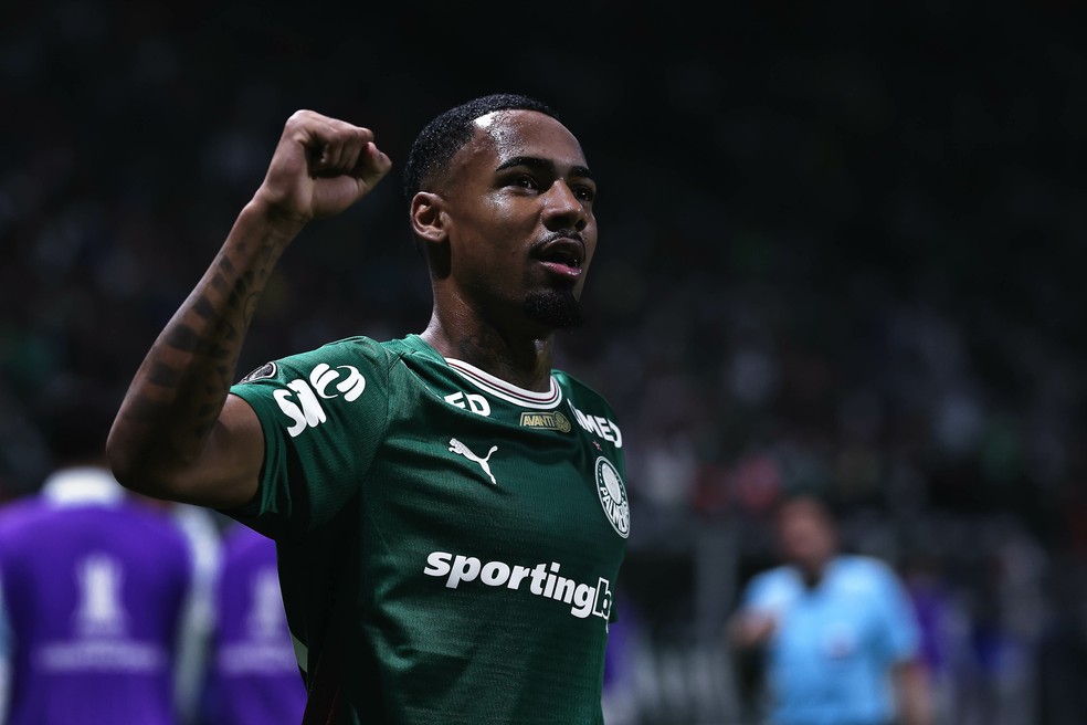 Allan em a��o pelo Palmeiras � Foto: Agif