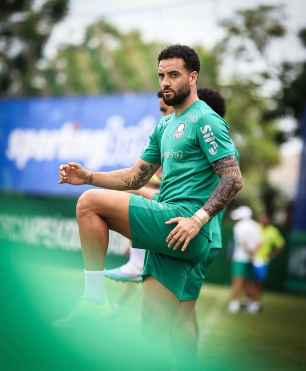 Desfalque de última hora? Craque do Palmeiras se lesiona e desfalque o Palmeiras por diversos jogos!