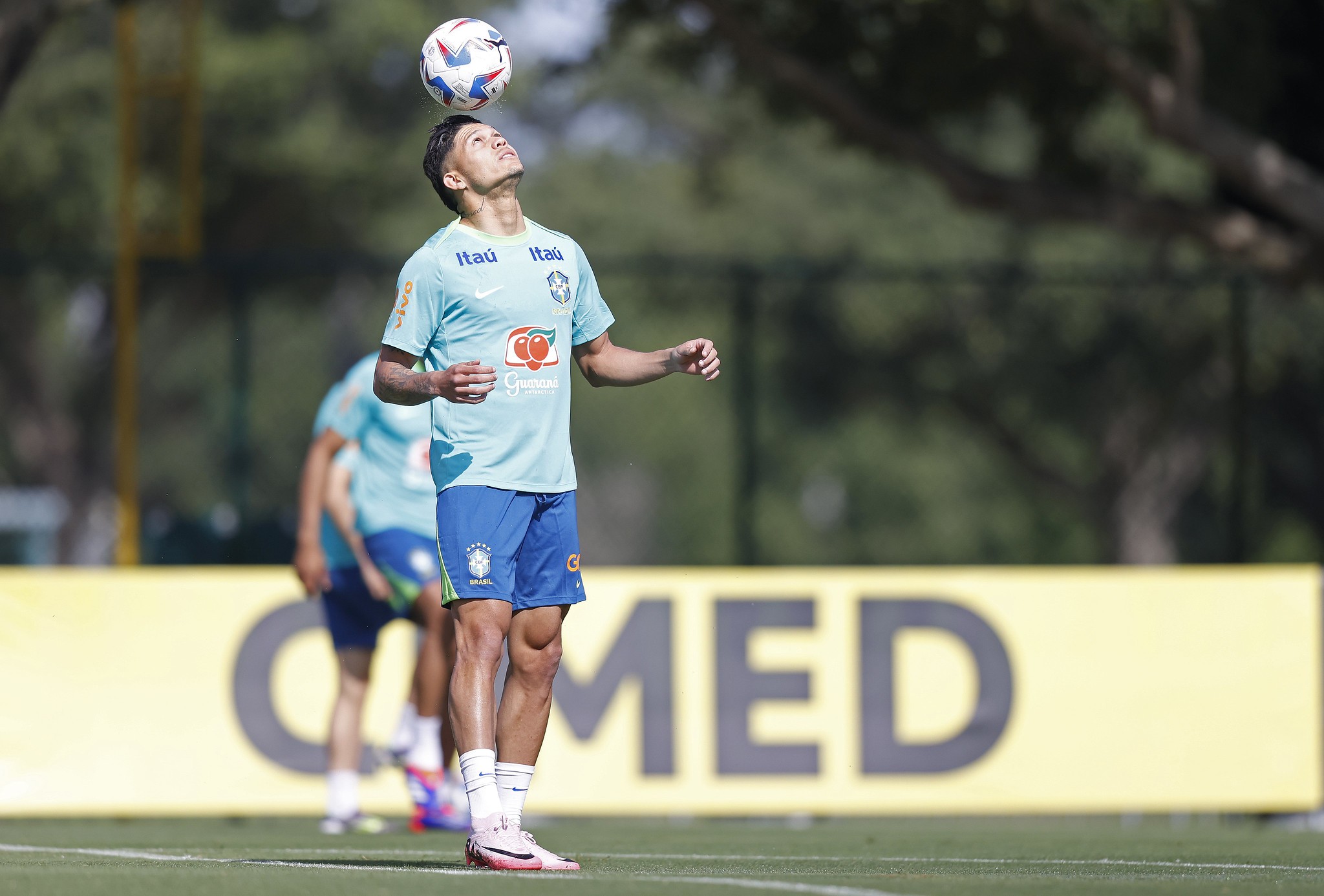 imagem